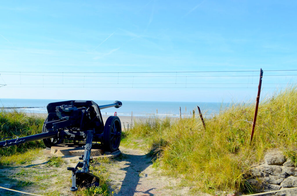 artillery from the war is placed in uncut grass with fences all around it. It faces the beach with the water and sky.