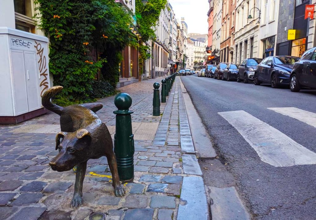 het zinnekin pis brussels: a bronze statue of a dog, it looks like a mutt, or a puppy german shepherd with folded over ears. It has its leg up as male dogs do when they pee. It's "peeing" on one of the posts separating the cobblestone sidewalk from the paved road. 