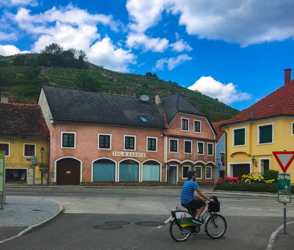 bike from melk to krems. A man on the middle of the street riding a city bike without a helmet. There's a yeild sign and a bike icon with an arrow below. The man is biking by some cute homes in the wachau valley, they're painted yellow, and pink. Behind the homes is a small hill with a vineyard 