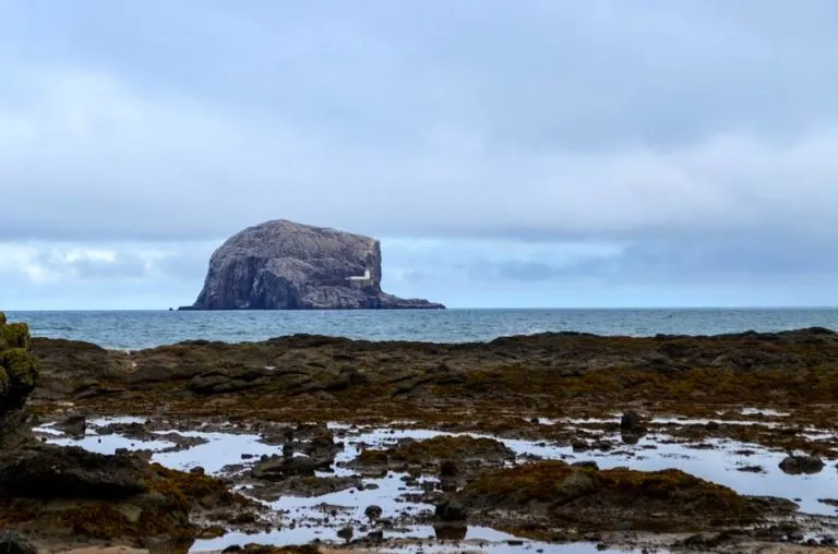 bass-rock-scotland