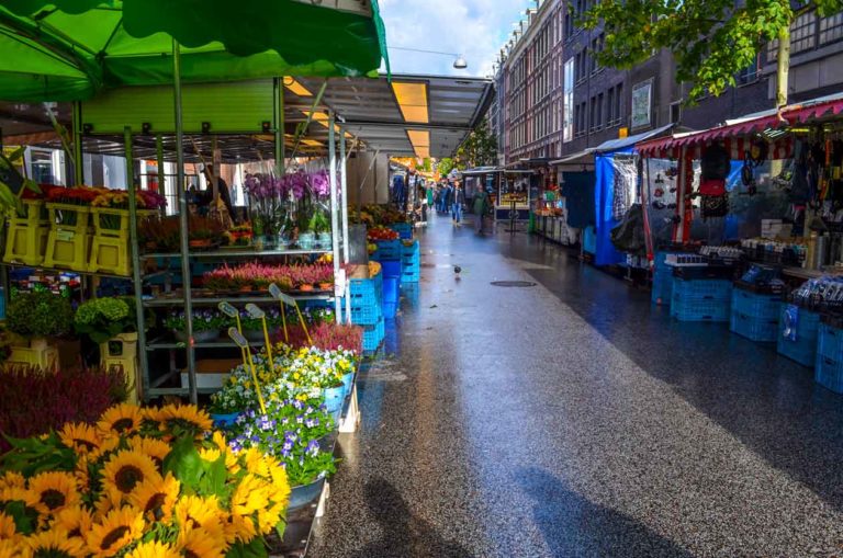 daily-market-outside-the-city-hub-amsterdam