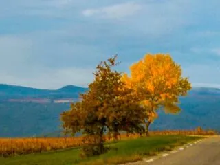 driving-in-provence-featured