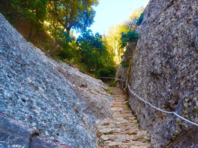 walk-up-to-the-peak-montserrat