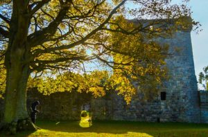 lochleven castle in scotland. A large tree frame the left side of the frame, the brances go all the way to the top and cover 3/4 of the photo. Behind the branches and leaves, sits a wide stone tower, a part of lochleven castle. A woman stands with her head face down, bundled in a puffer jacket. The sun is still rising, as it peaked through the branches of the tree, lighting some of them up, while some are in shadows from the castle tower behind it.