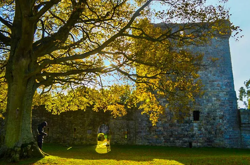 lochleven castle in scotland. A large tree frame the left side of the frame, the brances go all the way to the top and cover 3/4 of the photo. Behind the branches and leaves, sits a wide stone tower, a part of lochleven castle. A woman stands with her head face down, bundled in a puffer jacket. The sun is still rising, as it peaked through the branches of the tree, lighting some of them up, while some are in shadows from the castle tower behind it. 