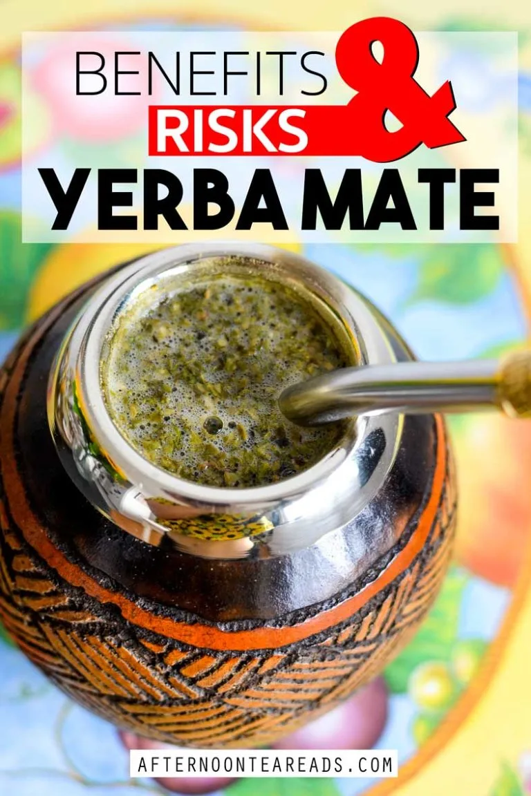 What are the Benefits & Risks of Yerba Mate Tea? #yerbamate #shouldyoudrinkyerbamate #risksyerbamate #benefitsyerbamate