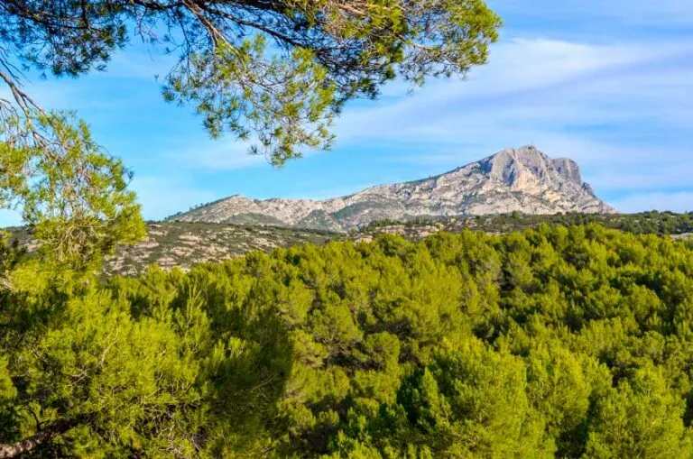 trees-and-mont-sainte-victoire