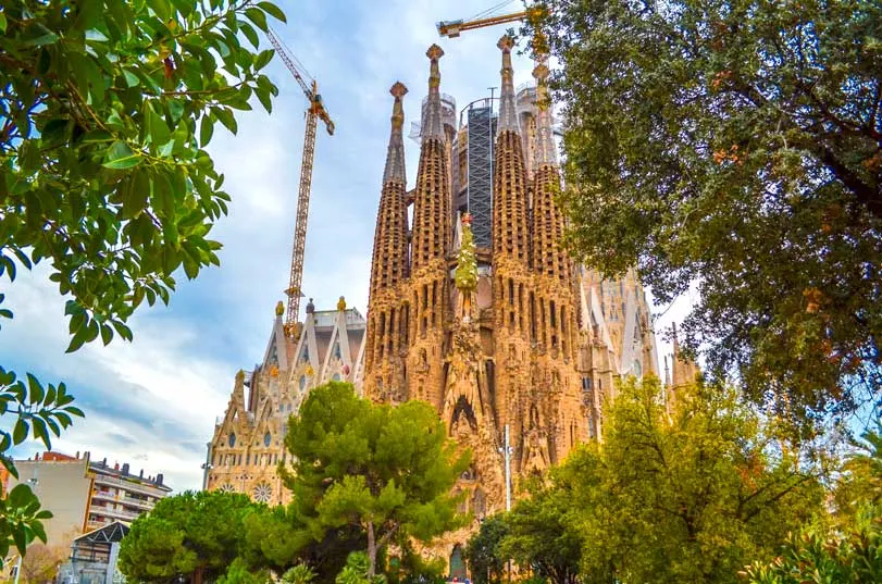 the sagrada familia in barcelona surrounding by green leaves from trees on every side. The middle is empty, which is where you can see the gothic cathedral, and there are cranes behind it