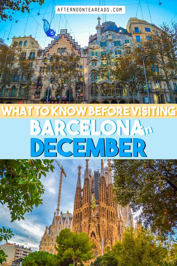 Why Barcelona In December Is The Best Time To Visit Afternoon Tea Reads