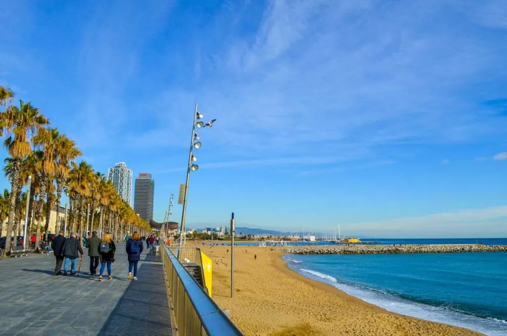 A view of Barcelonetta in December. There are a few groups of people walking along the boardwalk, next to the sandy beach and palm trees on the other side. The water is slowing make it's way to shore, although it's pretty calm. In the distance are two tall sky rise buildings and some smaller mountains further out. 