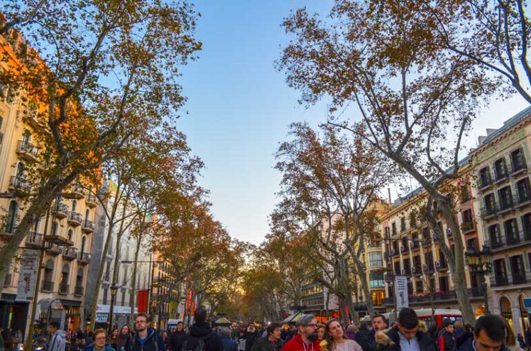 Why Barcelona In December Is The Best Time To Visit