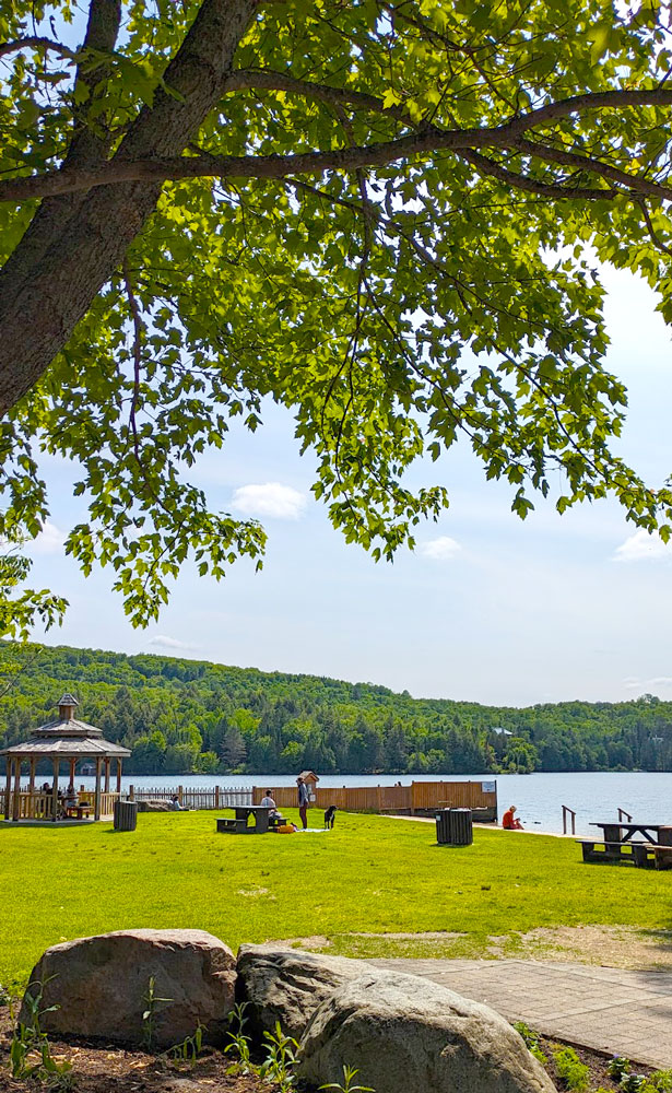 a relaxing view of lac mercier in old tremblant village. Large rocks line the bottom before reaching the green grass, sand, and finally the lake. A large leafy tree looms above, covering the top half of the photo, and proving shade to the tourists below.