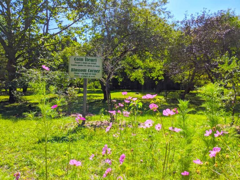 Blossom-Corner-Morgan-Arboretum