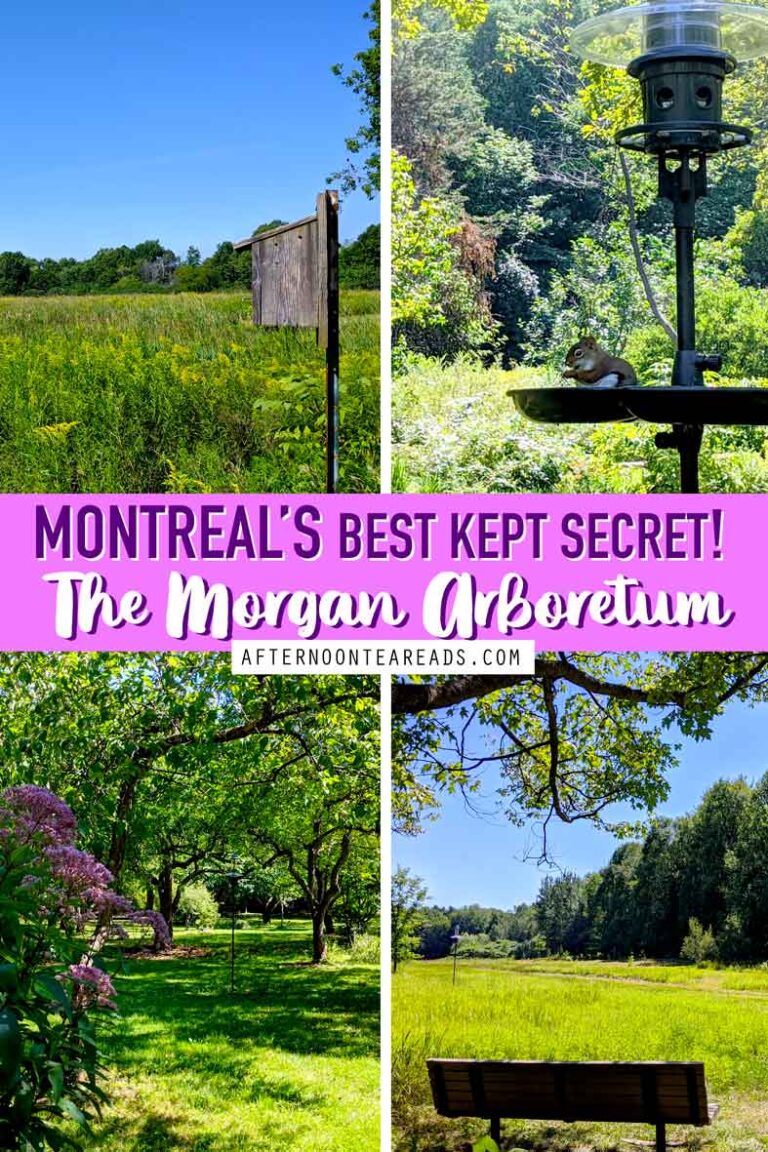 Discover Montreal's Morgan Arboretum! Part of McGill University, the best escape from the city! #montrealnature #morgranarboretum #natureparkmontreal #walkingtrailmontreal