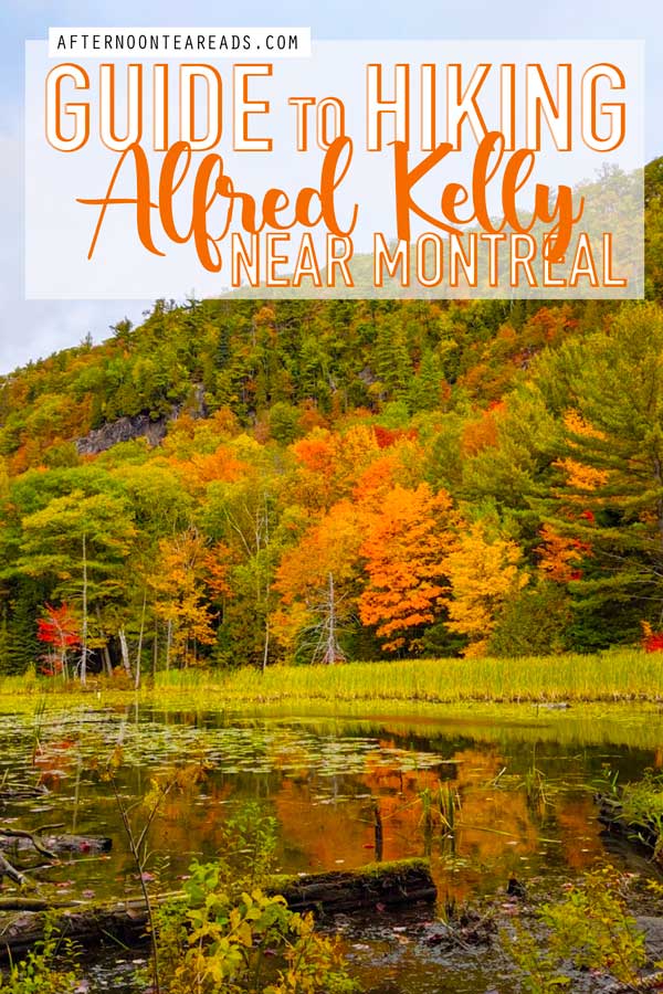 Best Hike Near Montreal: Alfred Kelly Nature Reserve #montrealdayhike #alfredkelly #montrealhike #laurentianhike