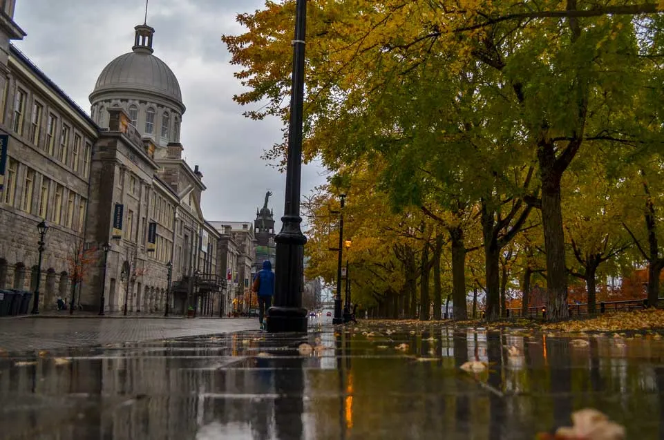 marche bonsecours montreal in the fall on a very rainy day. The Marche Bonsecour is an old stone building with a domed tower in the in middle. The road is dark and shiny stones from the rain. Trees line the sidewalk on the right, they're starting to change colour, now they're a mix of green and yellow leaves. You can even see a bit of red on the tips of a few of them. 