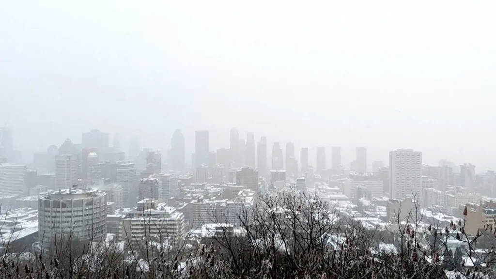 a view of the montreal city skyline in the distance atop a mountain. There are dark bare trees lining the bottom quarter of the frame before the buildings of downtown Montreal start. There are a few rows of rooftops with snow before the tall high rise buildings start in a line in the back in the middle of the image. Above them it's just white sky. The white of falling snow casts a white shadow on the buildings and completely covers the sky above.