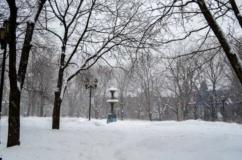 You can't see much in this photo but it's a classic winter scene in Montreal plateau. It's a park but the paths are completely covered in snow, the trees are bare except for some snow that sits on the branches. There's the top of a fountain in the middle of the park, the rest is covered in snow.  Beyond the trees in the distance you can see some homes along the street. 