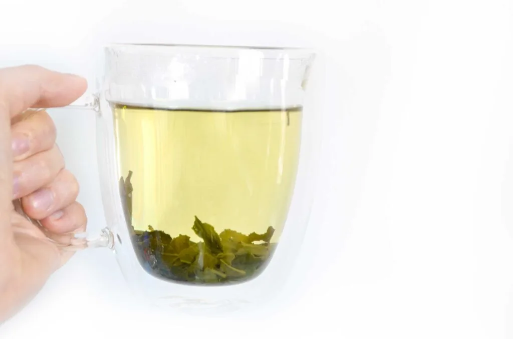 a hand holding up a clear double walled glass so you can see the brew colour: pale yellow, and the large green tea leaves that have opened up at the bottom. 