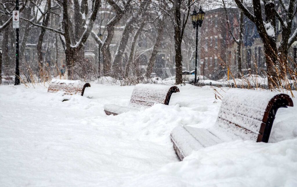 benches completely snow covered in montreal winter There's a new fresh layer of snow on them snow, and piles of snow completely surround them. They look like they're the same height as the ground that's how much snow there is... wispy snow still falls in the background 