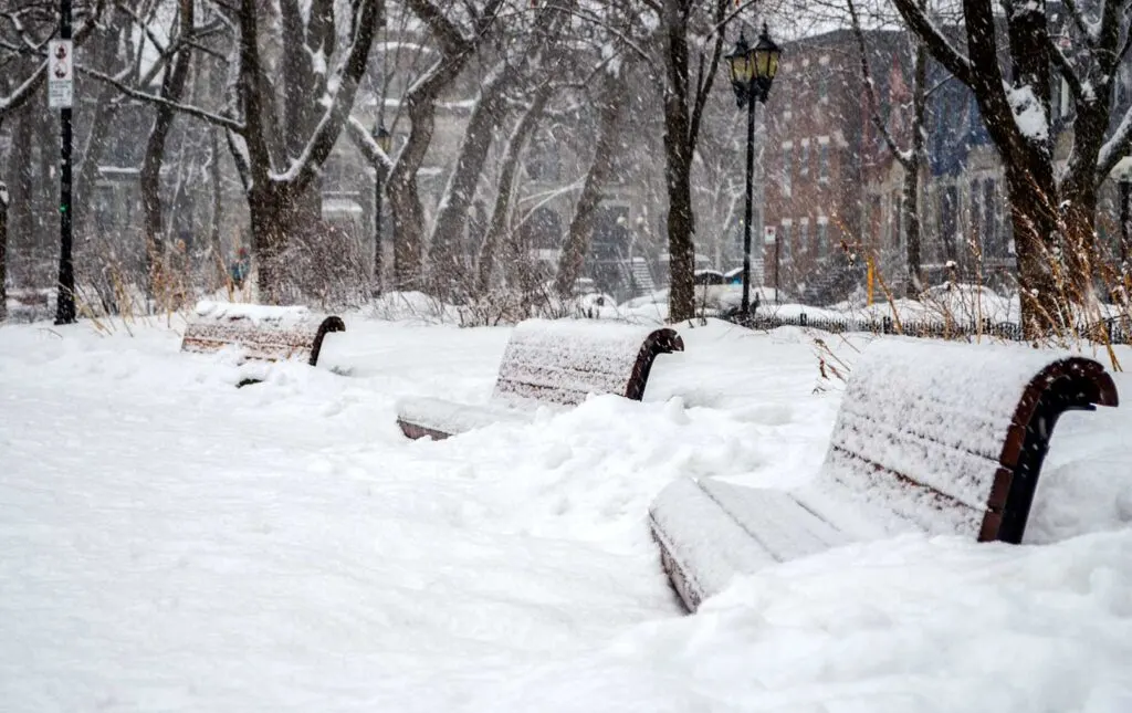 benches completely snow covered in montreal winter There's a new fresh layer of snow on them snow, and piles of snow completely surround them. They look like they're the same height as the ground that's how much snow there is... wispy snow still falls in the background 