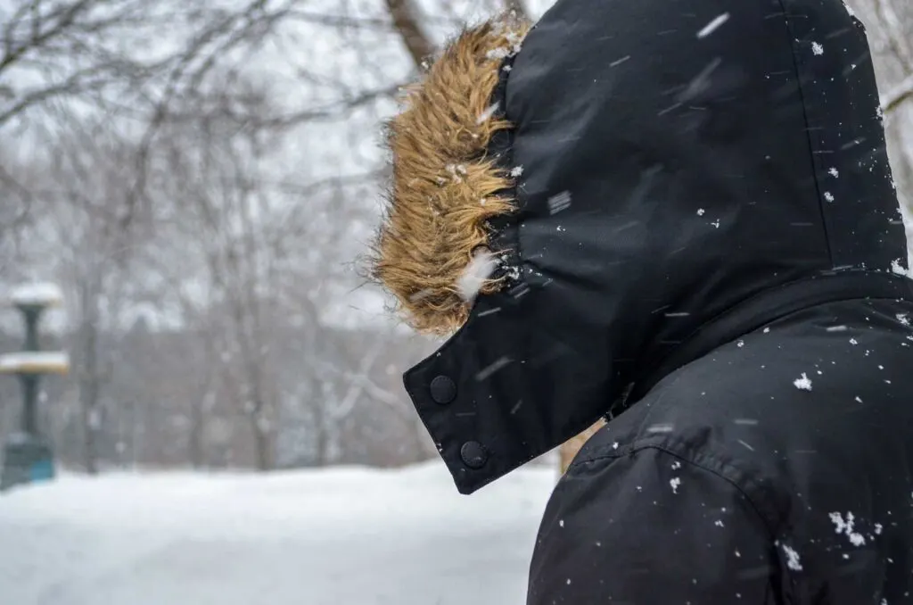 a man stands with his back at the camera, his hood is over his head with some faux fur lining it. Without the fur you could have thought that it was a black and white photo. The snow is blowing and creates a white hue to the background of the image. There's a large pile of the snow  on the ground and the trees are lined with snow. 