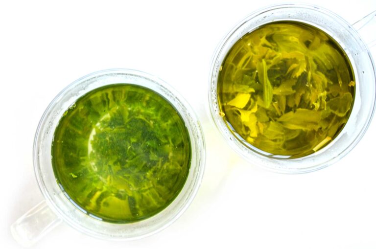 sencha-vs-bancha-types-of-japanese-green-tea