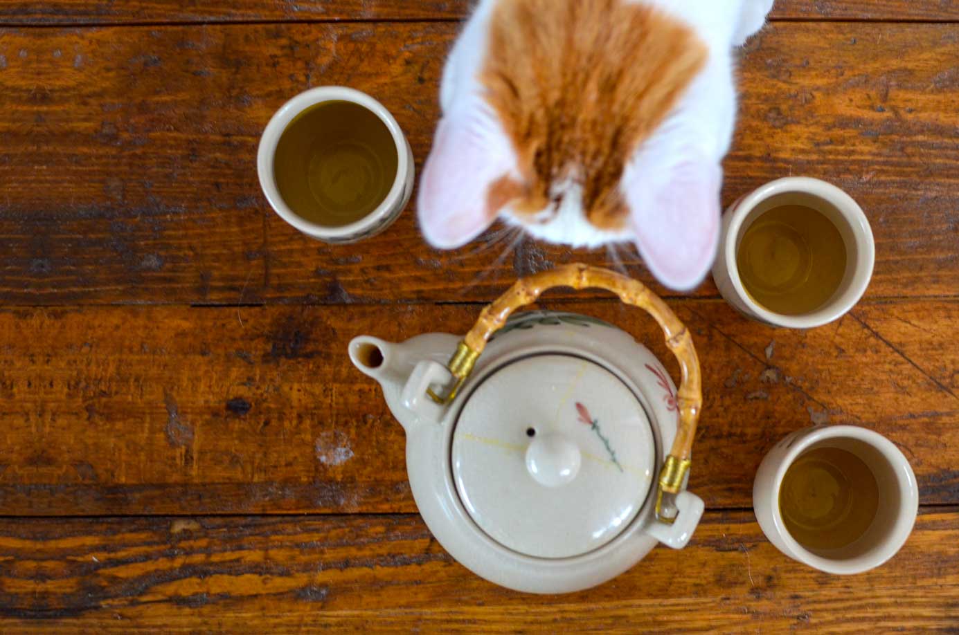 The Best Ways To Easily Clean Tea Stains From Mugs Afternoon Tea Reads