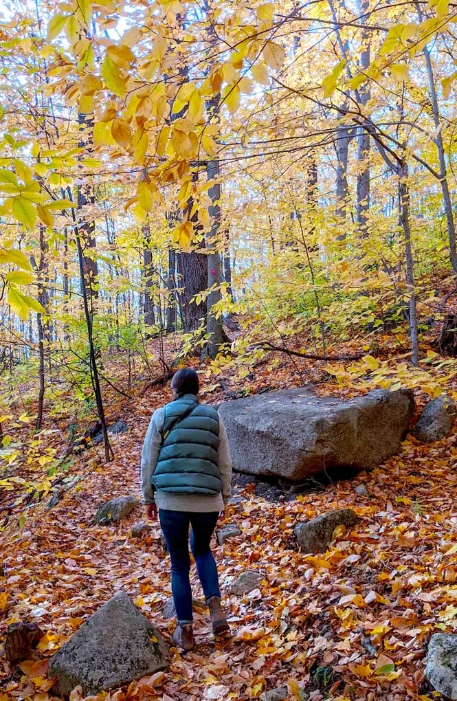 a woman standing in fall attire: skinny jeans, blundstone boots, a polar fleece sweater, and a green puffer vest on top. She among the fall vibes, hiking up a mountain. There are rocks of all sizes on the leave covered ground. Despite the amount of fall coloured leaves on the ground, the trees are not completely barren, they still have some yellow, and even green leaves that completely block the you from seeing the sky above. 