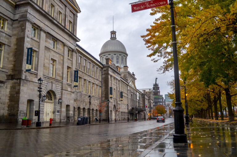 Experience The Best of Montreal In The Fall The Ultimate Guide