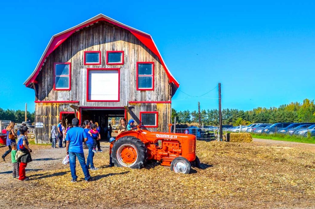 quinn farms apple picking in the fall: people are walking into a wooden barn with red accented paint around the windows, doors, and the red roof. There's hay all around on the ground. And there's a mini red tractor in front of the barn that kids are taking turns riding