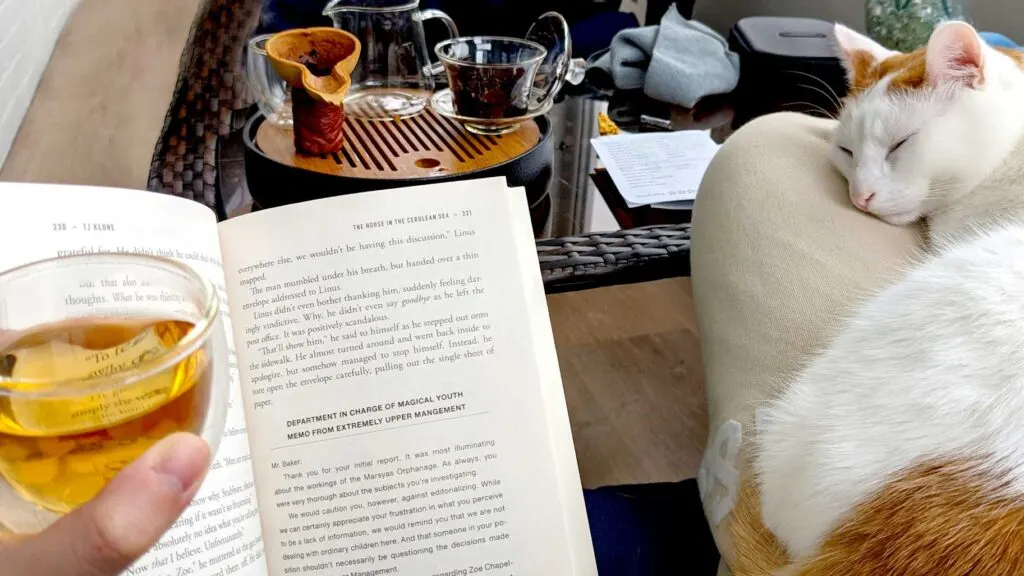 holding a double walled mini mug with golden tea and holding a book in the same hand. On a woman's lap sits an orange and white cat, very relaxed and sleeping soundly. There's a small outdoor table in front of them, filled with a chinese gaiwan tea set ready for tea brewing!