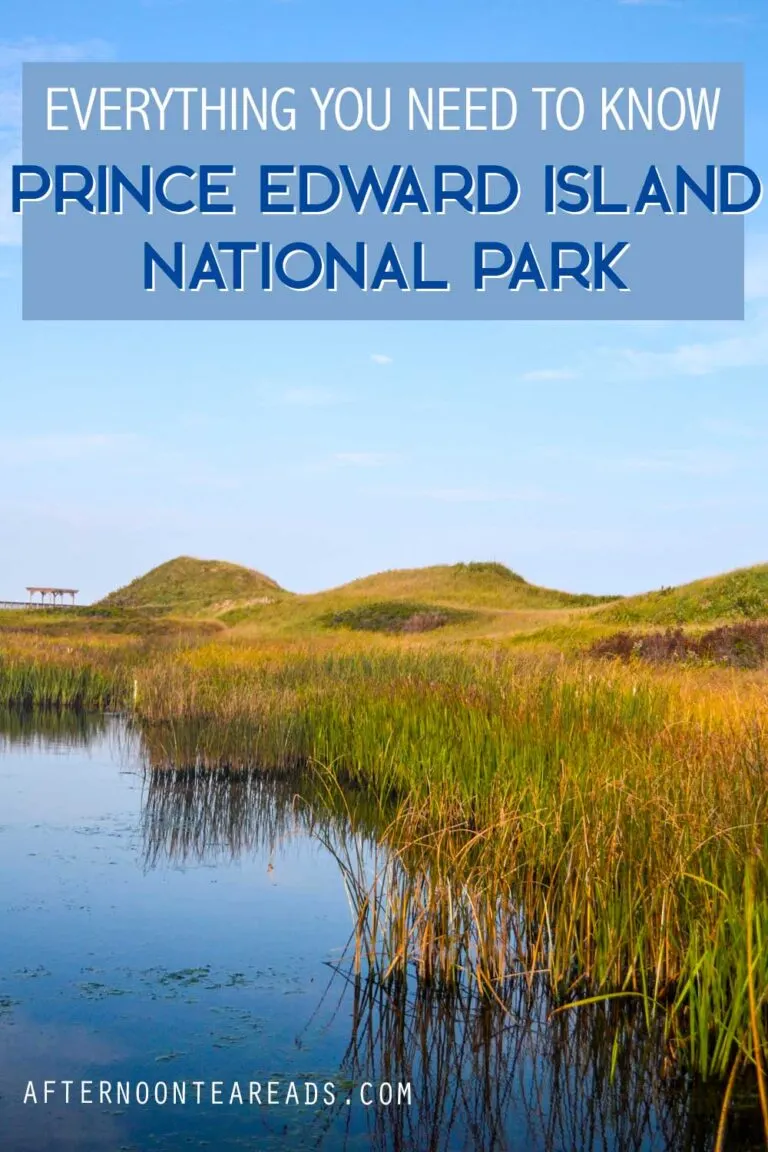 The Ultimate Guide To Prince Edward Island National Park: Looking out Cavendish Beach Dunes