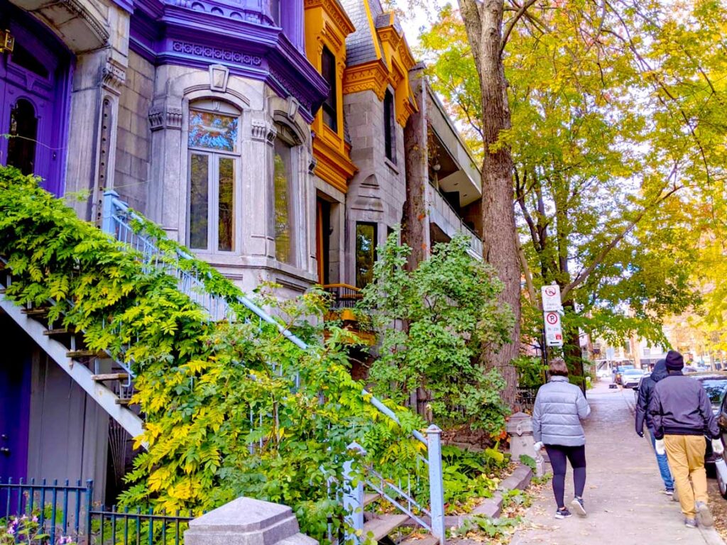 exploring-montreal-things-to-do-free. a view of the painted ladies of Montreal (stone buildings with purple and orange accent colours ) ivy lined staircases and people walking on the sidewalk in front 
