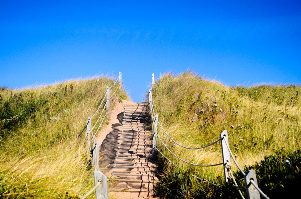 getting to the beach at national parks pei. There's tall yellow and green grass blowing in the wind. There grass is stopped by a wood and string makeshift railing separating the grass from the sand. Ib the middle is a rickety staircase built into the sand dune to bring you over the edge. 

The top of the image is purely blue sky