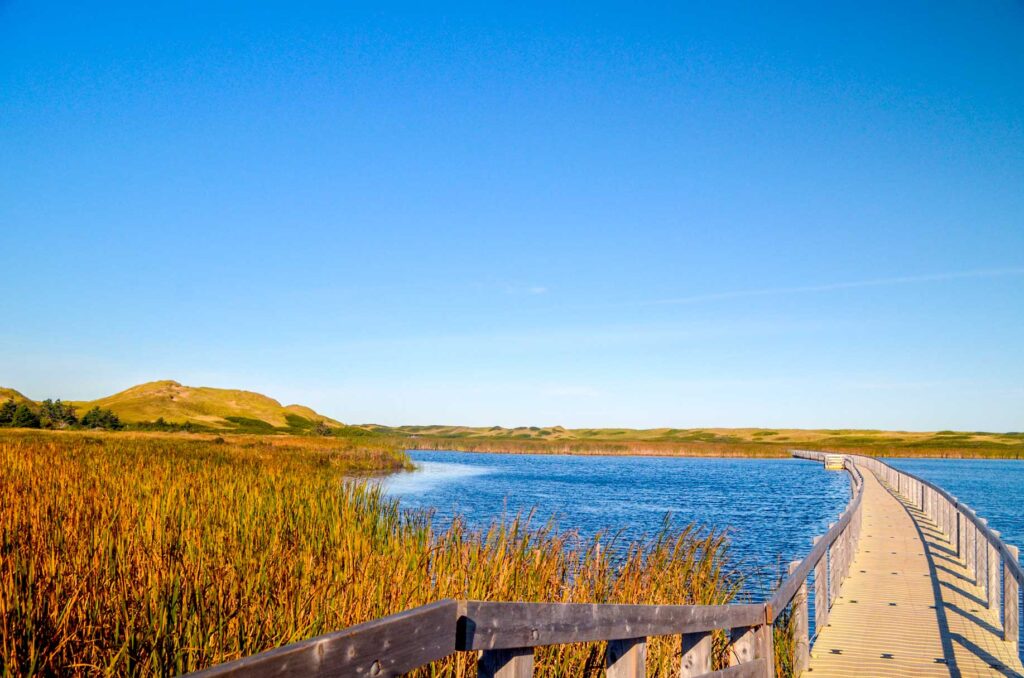 pei national park greenwich dunes trail. A normal wooden dock leading you to a white floating dock over choppy water. The water is interrupted by grass all around it. In the distance is one hill, a sand dune.