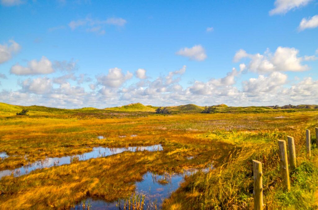 a sun kissed photo of the pei national parks brakley-dalvay section. Stopped on the side of the road, you can see a small portion of a simple fence keeping people off the natural lands of the national park. 

The middle is a mix of grass with little ponds that are reflecting the sky above it. In the distance are the grassy sand dune hills. 