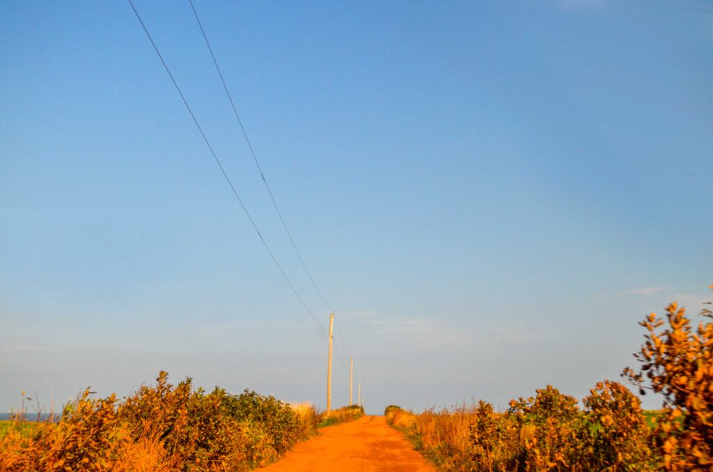 The image was an all around yellow hue to it, The sky as well as the red dirt road in the centre of the image, leading you to what seems like the end of the world. 

The road is lined with bushes, that are green, and tinted red to match the dirt road. 