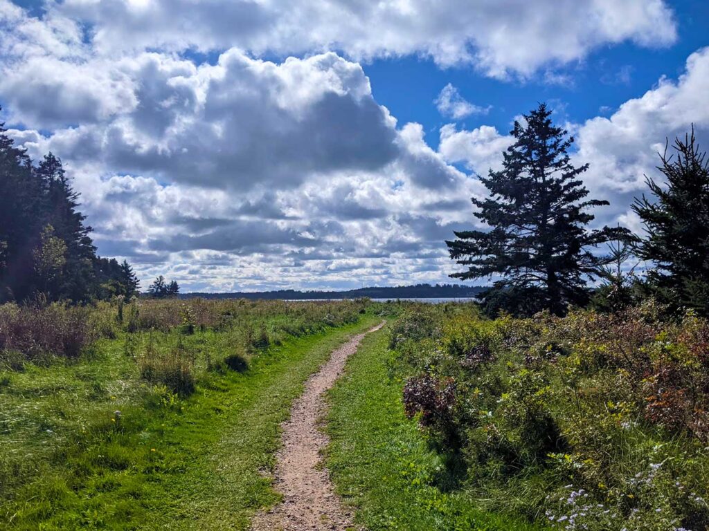 a wide open walking trail on robinson island pei national park. The actual path is small narrow gravel, but there's flat green grass all around you. There's really only one tree. So the path is wide open to the sun beams of the day. 