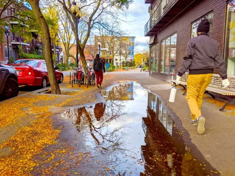 walking-brain-dabba-virus-outdoor-activity-in-montreal