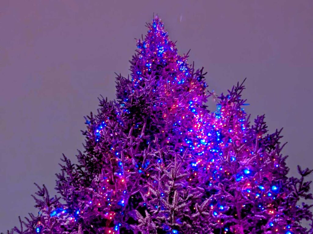 huge lit up christmas tree against the night sky