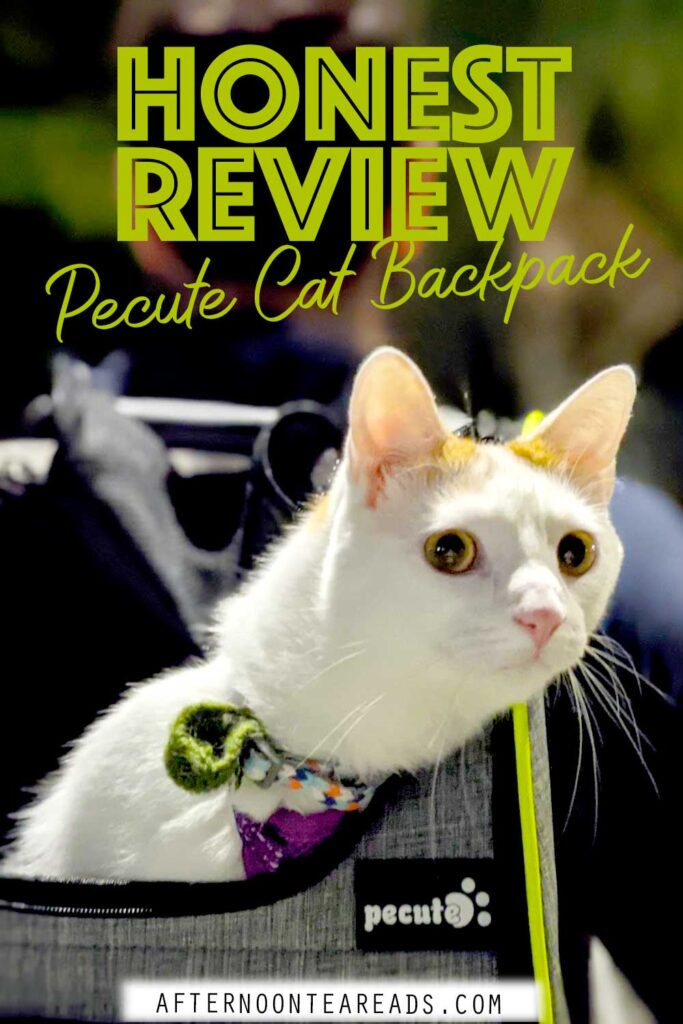 The best cat backpack you and your cat will love!