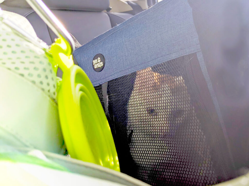 cat-in-a-carrier-for-long-distance-travel-with-a-car-in-a-car