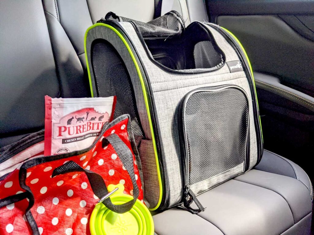 cat-travel-bag-with-necessities