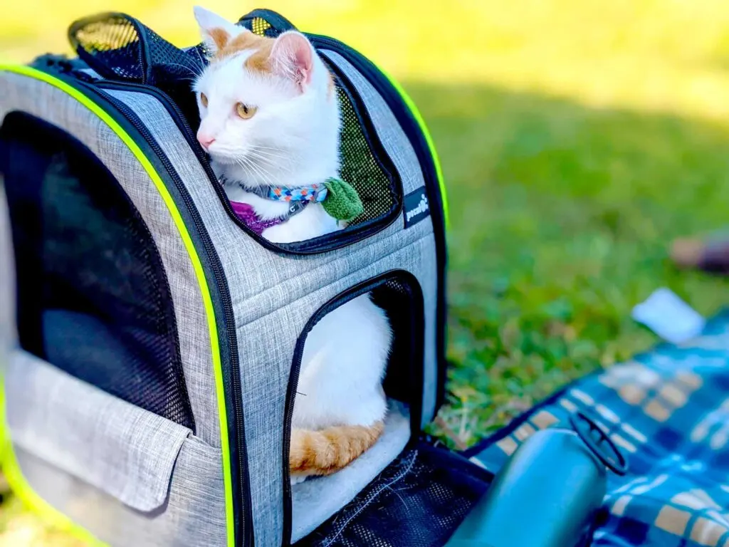 weight-down-the-amazon-pecute-pet-backpack