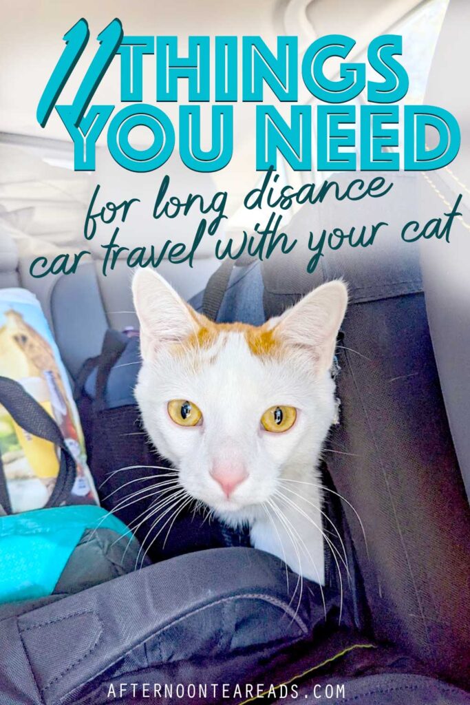 11 Things You Need For Your Cat On Long Distance Car Rides