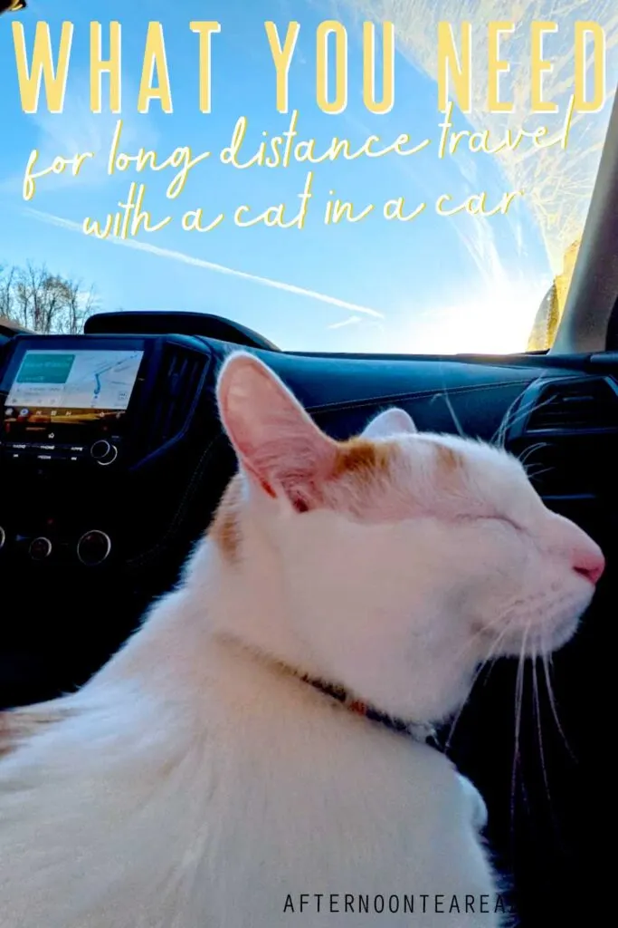 Cat car 2025 travel accessories