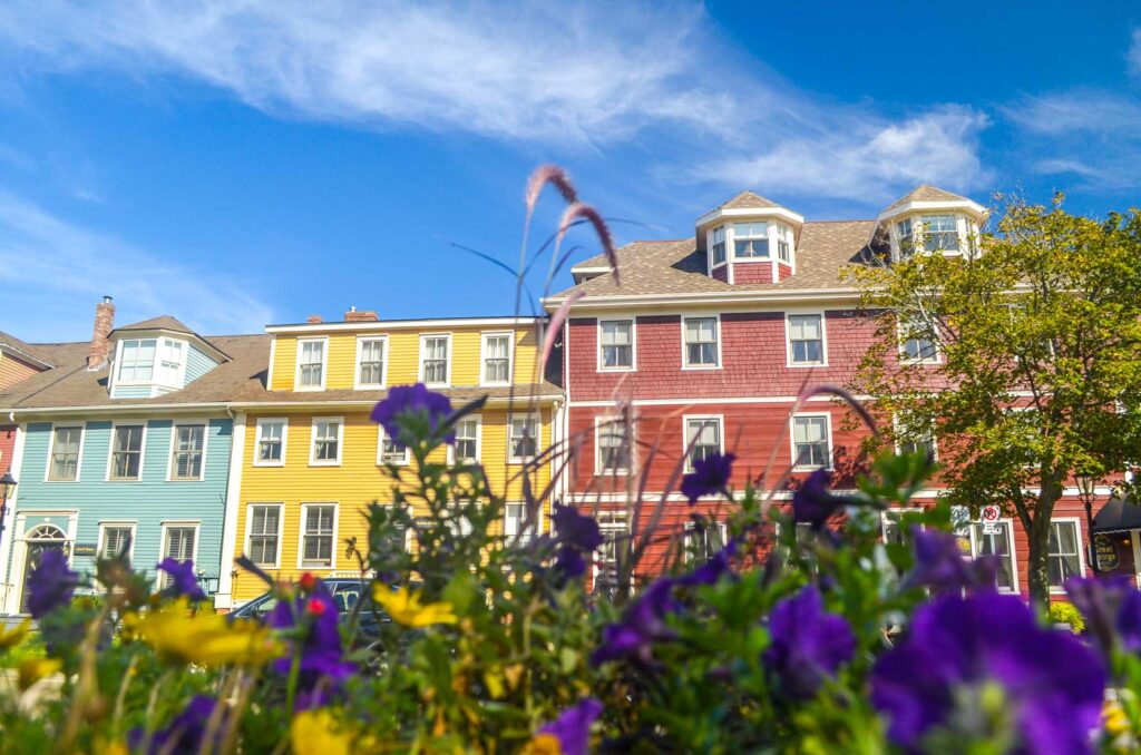 the great george hotel charlottetown view from behind some blurred purple and yellow flowerls.
There are 3 island style buildings all attached. The only way to tell them apart is by the colour difference. On the left is a light blue building, with one dormer popping out of the roof. Next to it is a yellow building, about the same height, but instead of a single dormer, it has a whole third level. Finally, the largest part of the hotel is in red, it's the widest and tallest with a fourth floor of two dormers sticking out of the roof. 