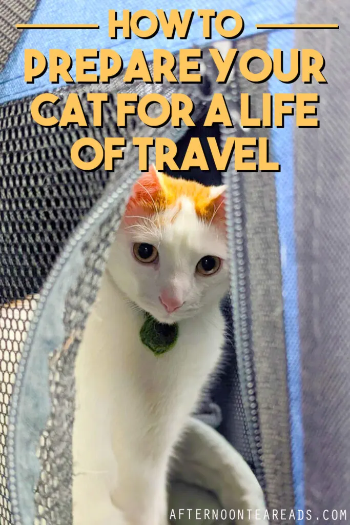 pinterest-prepare-cat-for-travel1