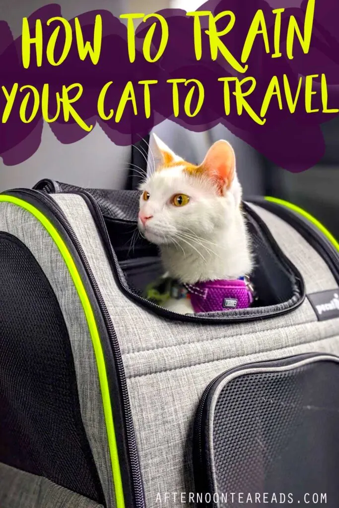 pinterest-prepare-cat-for-travel2